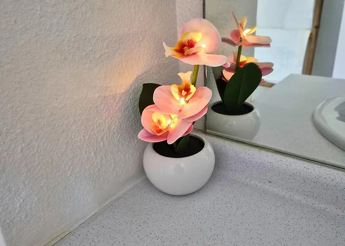 Apartamento L'ethnik Proche Du Centre - Wifi - Moderne *