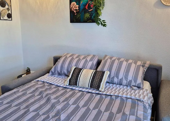 L'ethnik Proche Du Centre - Wifi - Moderne Lourdes