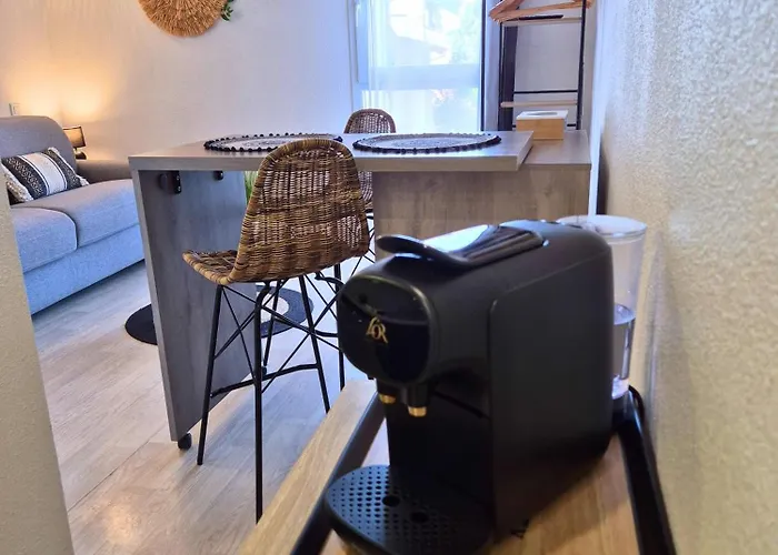 L'ethnik Proche Du Centre - Wifi - Moderne * Lourdes