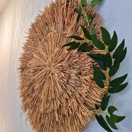 L'ethnik Proche Du Centre - Wifi - Moderne Apartment