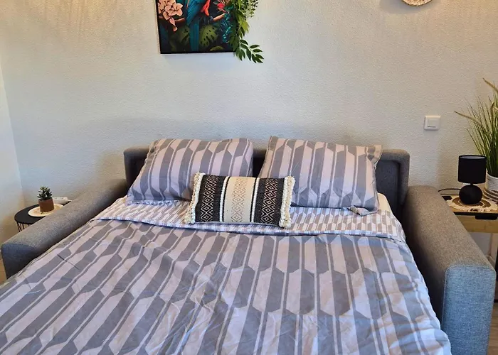 L'ethnik Proche Du Centre - Wifi - Moderne Apartment Lourdes